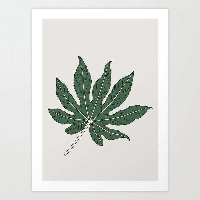 Aralia Leaf Illustration Art Print