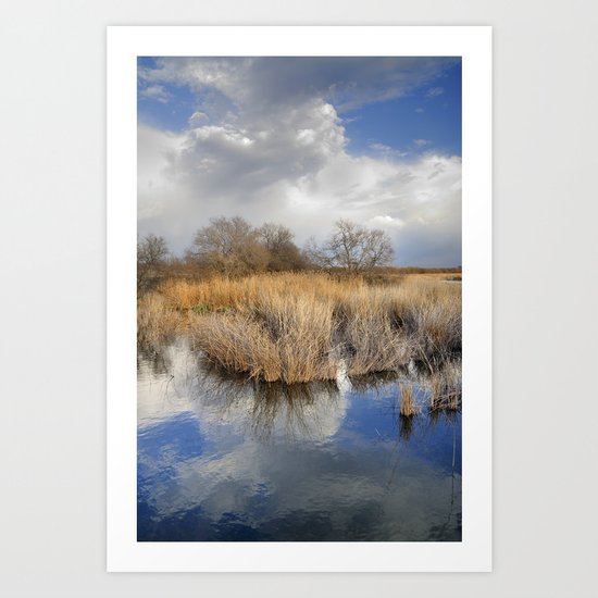 before the big storm Art Print