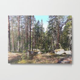 Take me to the north Metal Print | Epicforest, Ancientforest, Oldtrees, Treepictures, Treestand, Treemagic, Unique, Oldtree, Ancientwoodland, Ancientwood 