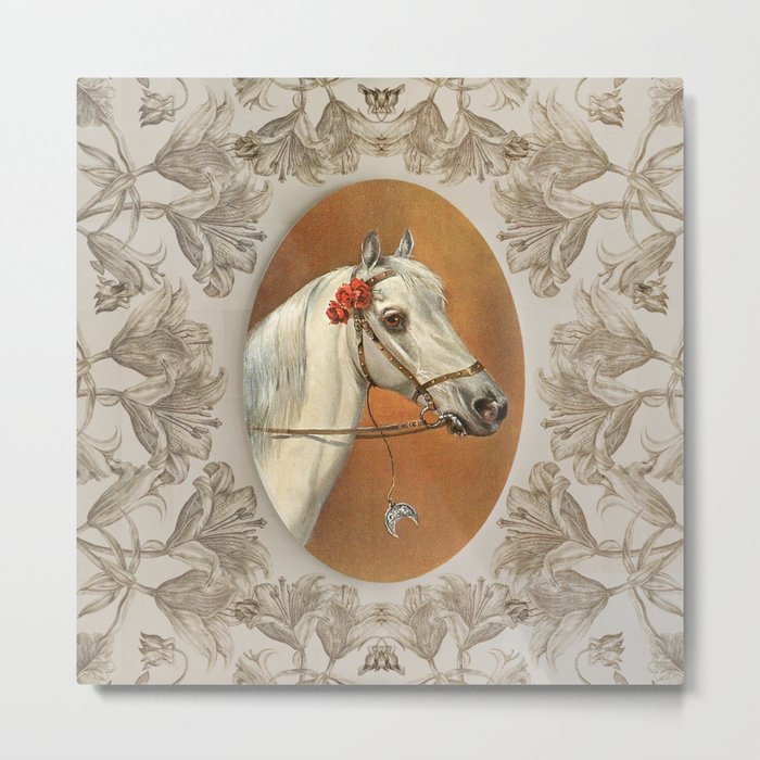 Arabian Horse portrait Metal Print