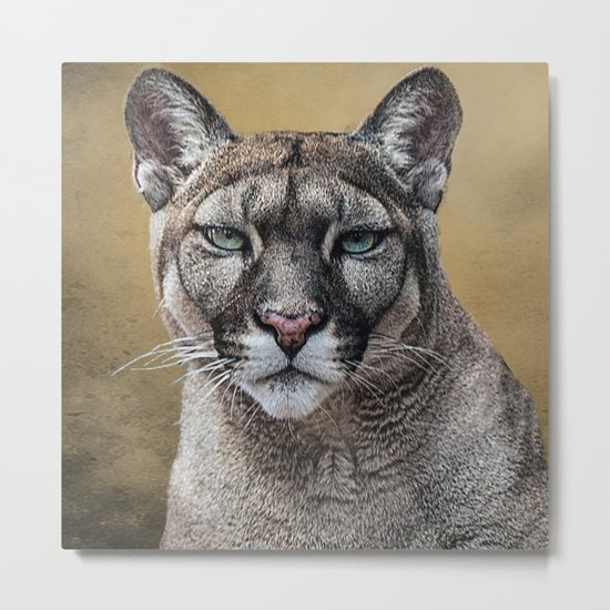 PUMA Metal Print