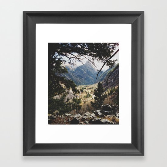 San Juan Forest Framed Art Print