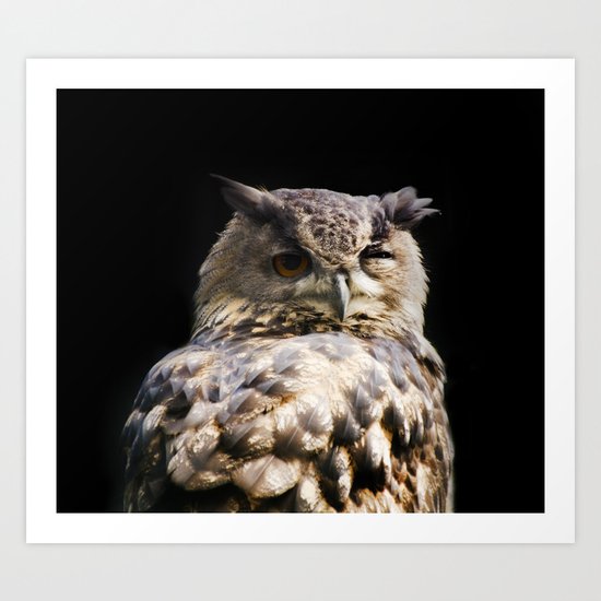 Owl wink Art Print