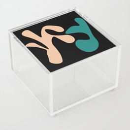 5 Abstract Shapes  211224 Acrylic Box