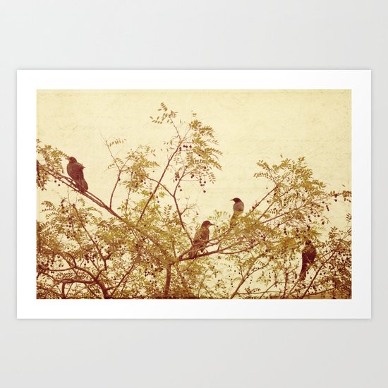 birds in trees Art Print