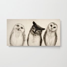 The Owl's 3 Metal Print | Graphite, Illustration, Owls, Drawing, Owl, Curated, Animal, Nature, Ink Pen 