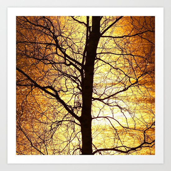 Tree Silhouette At Sunset Art Print