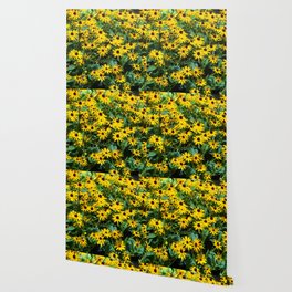 Sun Flowers Wallpaper