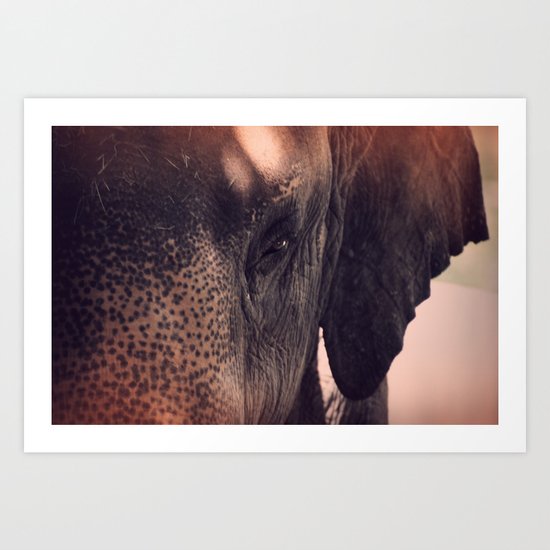 Eyes of the Beholder Art Print