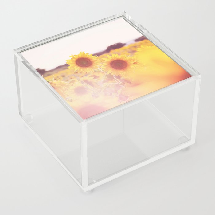 Colorful Sunflower Field Acrylic Box