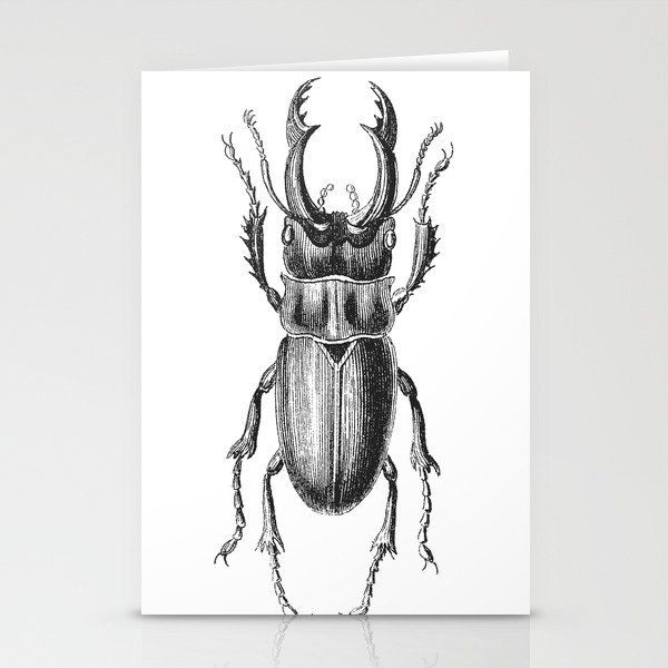 Vintage Beetle black and white Stationery Cards