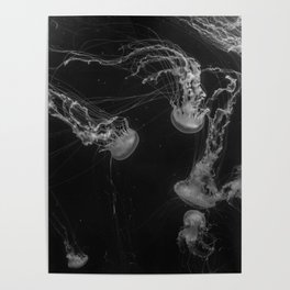 Jellyfish (Black and White) Poster