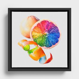 Grainbow Fruit Framed Canvas