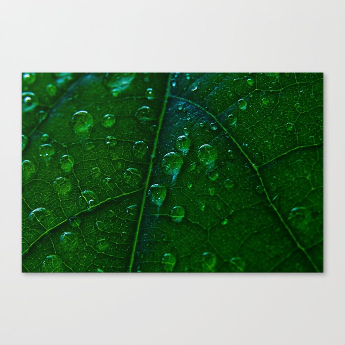 Green Bubbles Canvas Print