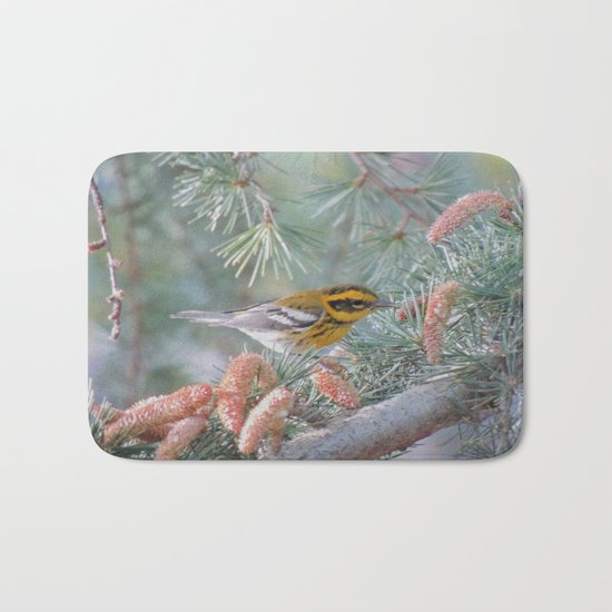 A Townsend's Warbler Spruces Up Bath Mat