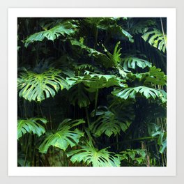 Adventure Jungle Palm Leaves On Vine Art Print