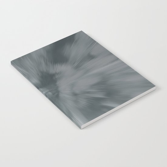 Abstract 317 Notebook