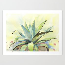 Agave Plant Art Print