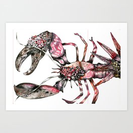 Aphrodisy  lobster Art Print