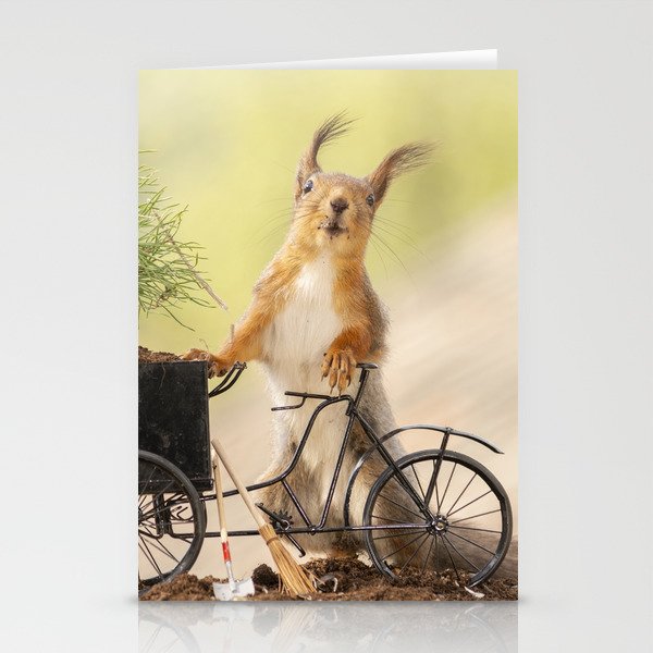 red squirrel with a bicycle with young plant Stationery Cards