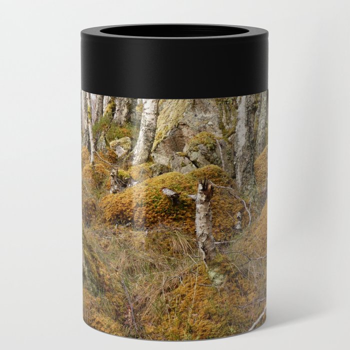 Birch Tree Meeting Place in the Scottish Highlands  Can Cooler