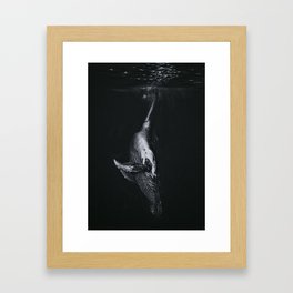 Humpback Whale White Charcoal Pencil  Framed Art Print