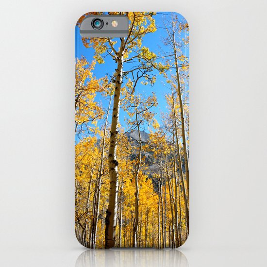 Enchiladas in the Trees 2 iPhone & iPod Case