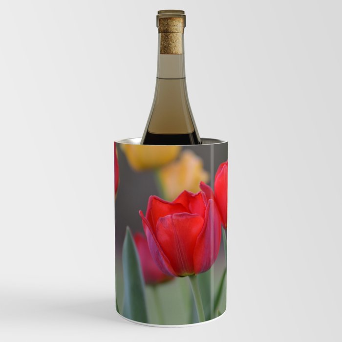 tulips Wine Chiller