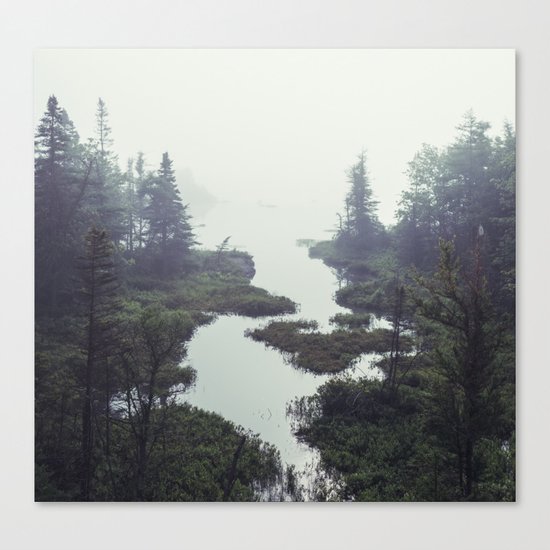Moonlit Fogscape Canvas Print