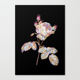 Floral Pink Cabbage Rose Mosaic on Black Canvas Print