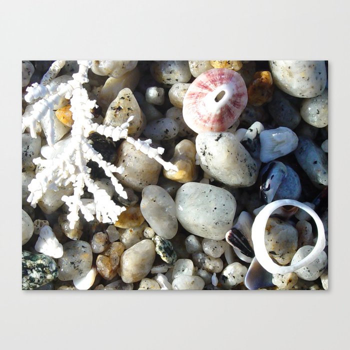 Beachcombing Photograph Canvas Print