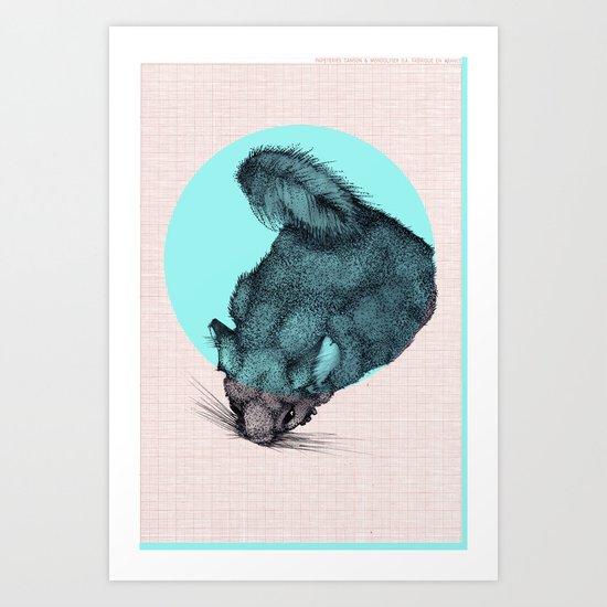 chinchilla Art Print