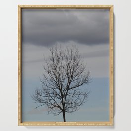 Bald tree carrying a dark cloud Serving Tray