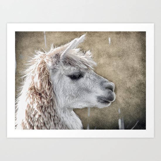 She walks in Beauty Art Print