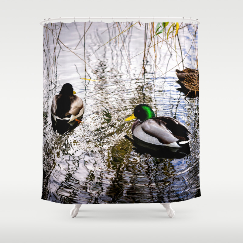 Three Mallard Ducks In A Pond Shower, Mallard Shower Curtain