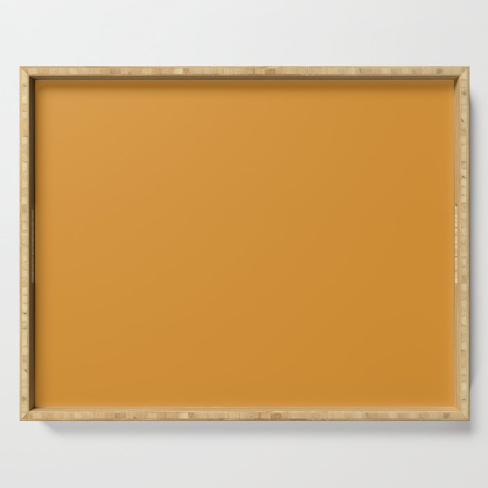 Mid-tone Brown-orange Solid Color Pairs Pantone Autumn Blaze 15-1045 TCX - Shades of Orange Hues Serving Tray