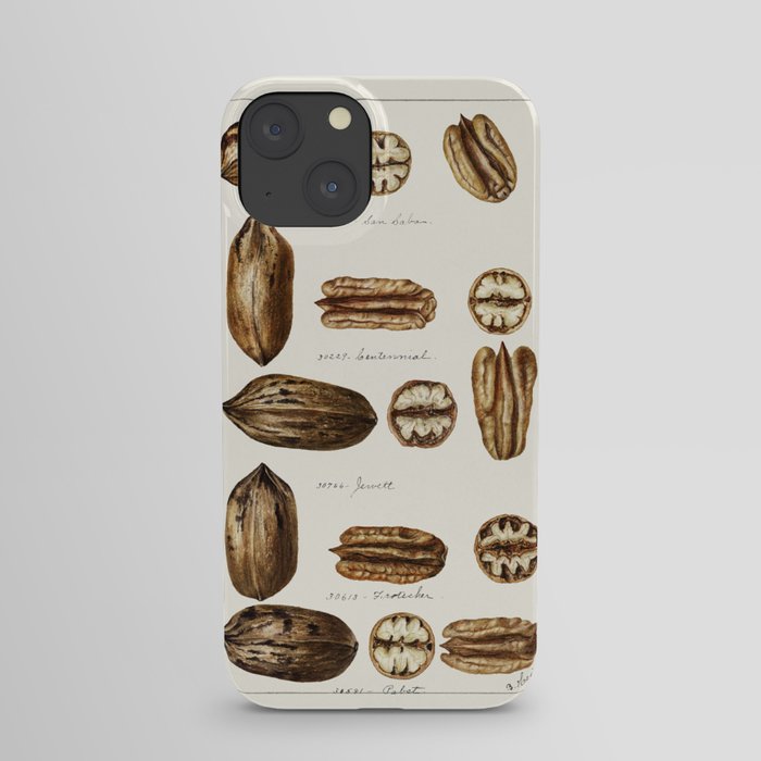 Pecans (Carya Illinoinensis) (1904) by Bertha Heiges. iPhone Case