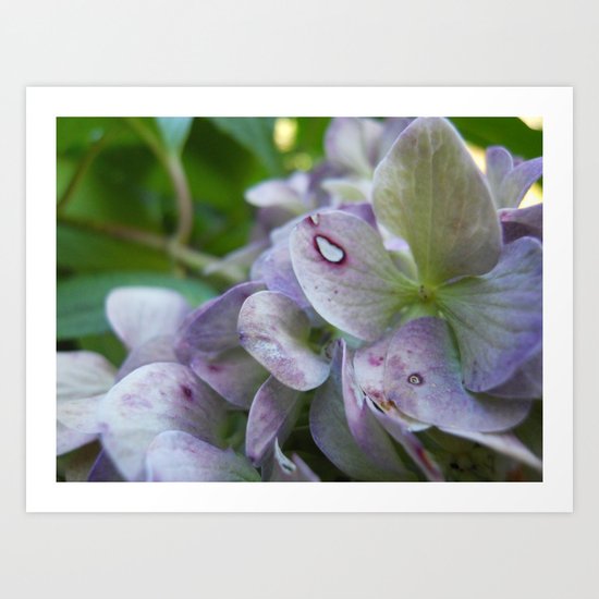 Fairy's Bed Art Print
