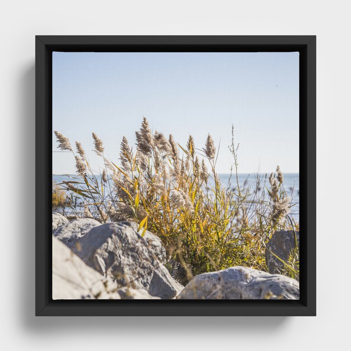 Seaside Plants Framed Canvas