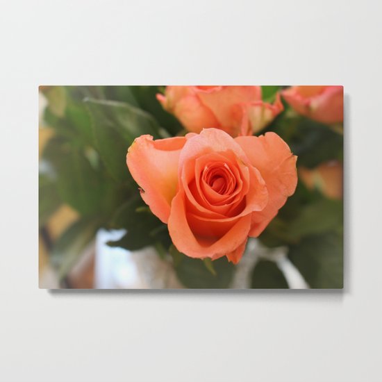 Single Rose Metal Print