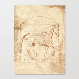 Da Vinci Horse In Piaffe Canvas Print