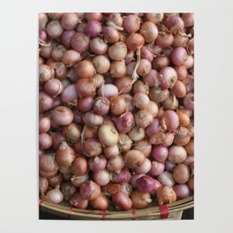 Little Onions in basket - Illustration Poster