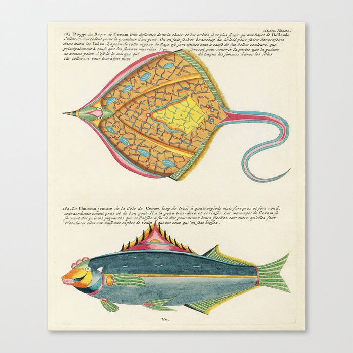 Canvas Print