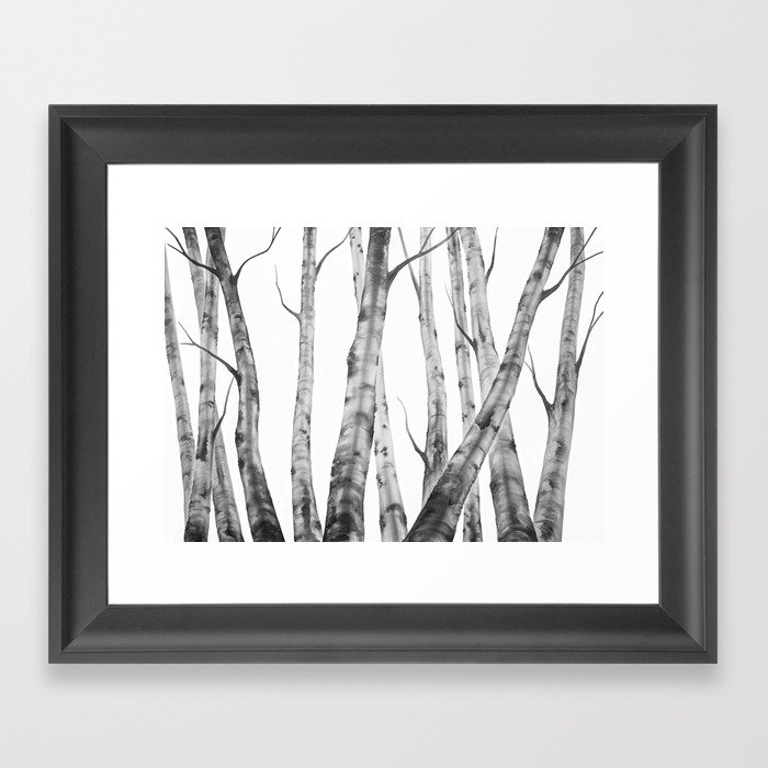 Birch Tree Watercolour Painting Black And White Black And