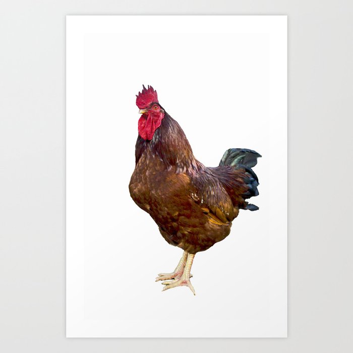 Carl the Rooster Art Print