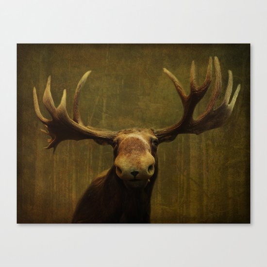 In Your Face Canvas Print