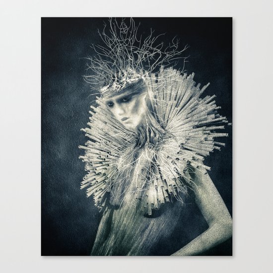 Dark Portrait III (colour option) Canvas Print