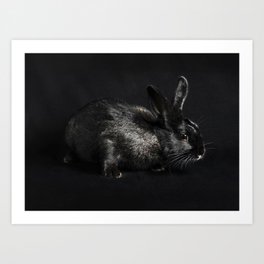 Mr Mica Rabbit Art Print