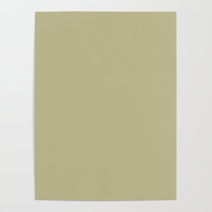 Earthy Mid Tone Pastel Green Solid Color Inspired By Behr Back To Nature Color Of The Year Poster By Simplysolids Society6
