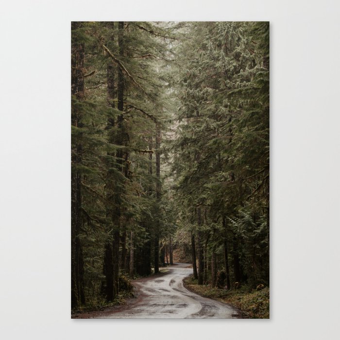 Rainforest Road Canvas Print
